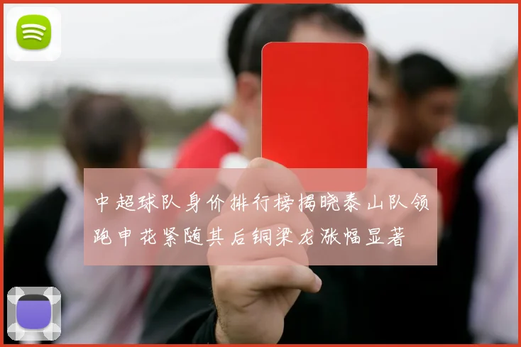中超球队身价排行榜揭晓泰山队领跑申花紧随其后铜梁龙涨幅显著