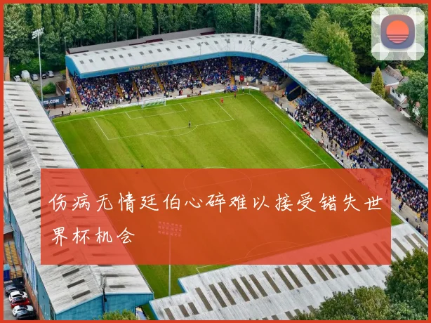 伤病无情廷伯心碎难以接受错失世界杯机会