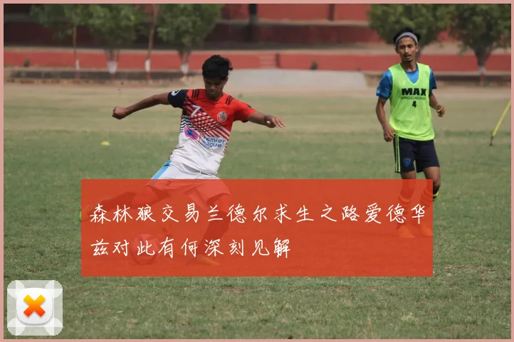 森林狼交易兰德尔求生之路爱德华兹对此有何深刻见解
